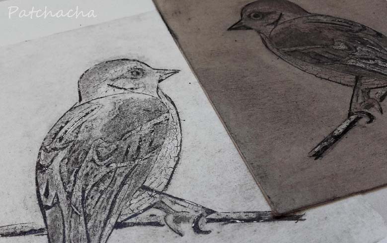 collagraphie, oiseau