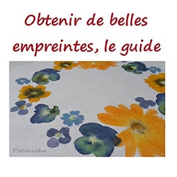 empreintes de fleurs et feuilles